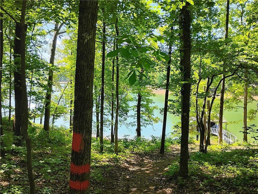 Rare opportunity for a premiere lake lot near Clemson! - photo 8