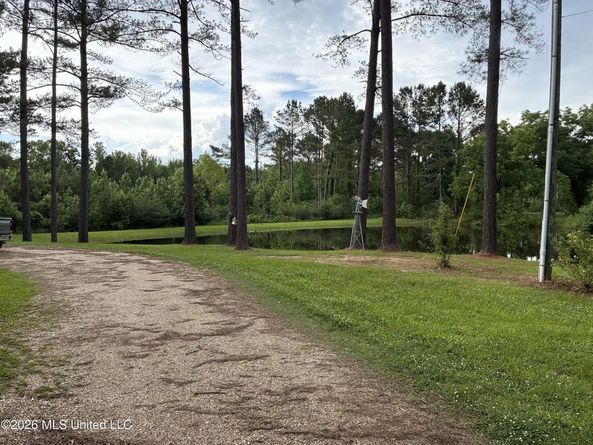 Nestled among towering pines with peaceful pond views, this - photo 35