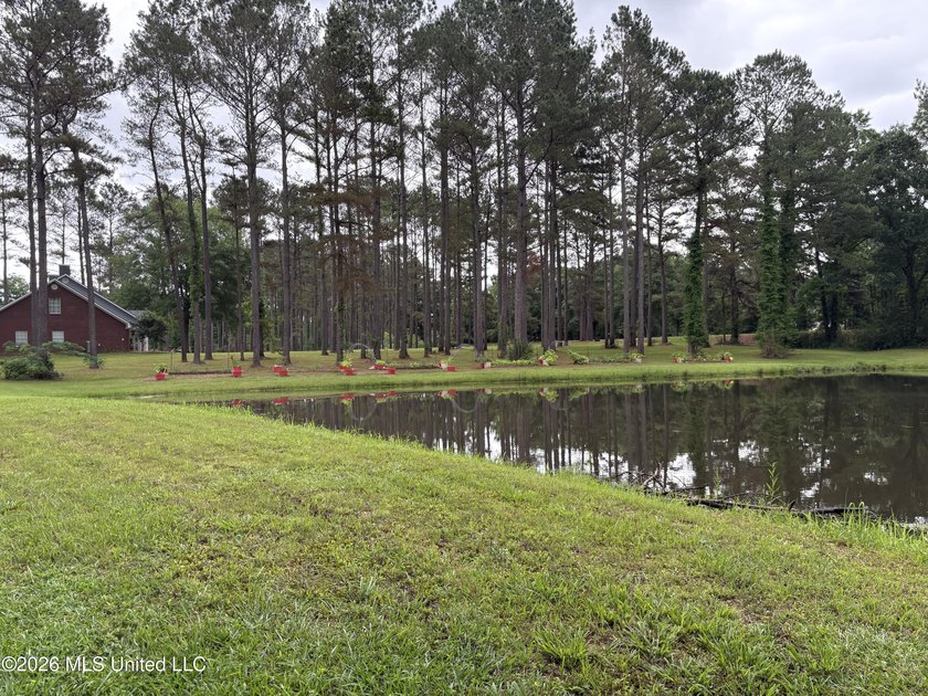 Nestled among towering pines with peaceful pond views, this - photo 45