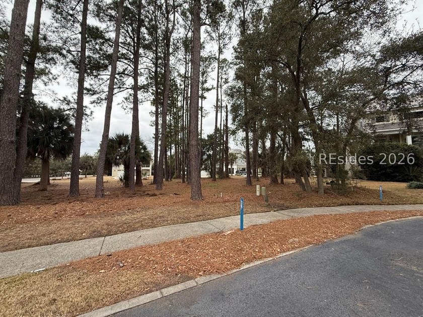 Build your dream Lowcountry home in the sought-after Paddocks, a - photo 4