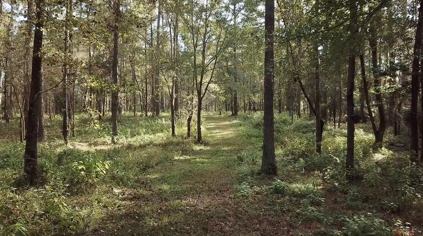 If you are looking for privacy and stunning scenery, look no - photo 11