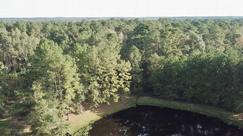 If you are looking for privacy and stunning scenery, look no - photo 12