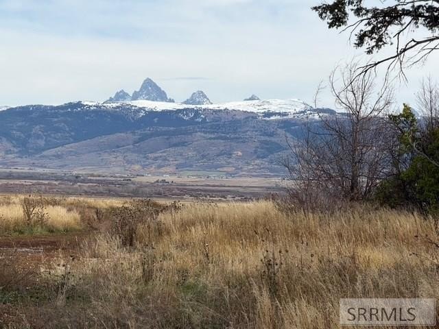 One of a kind 58.75 Acre estate property NOT IN A SUBDIVISION - photo 21