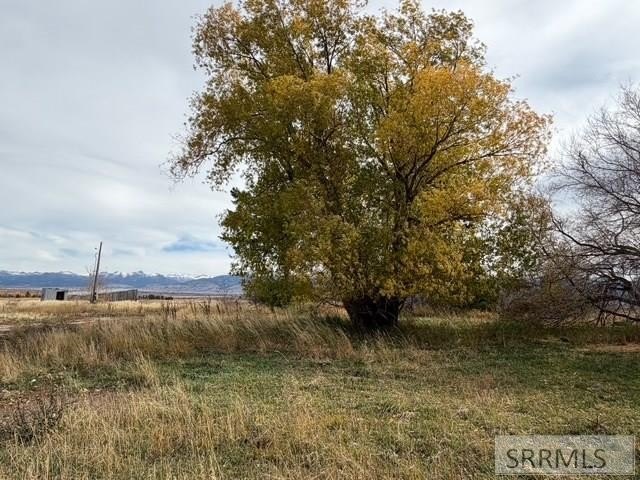 One of a kind 58.75 Acre estate property NOT IN A SUBDIVISION - photo 22