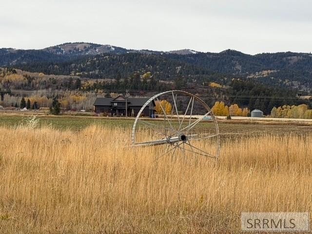 One of a kind 58.75 Acre estate property NOT IN A SUBDIVISION - photo 23