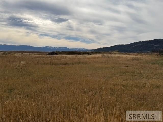 One of a kind 58.75 Acre estate property NOT IN A SUBDIVISION - photo 24