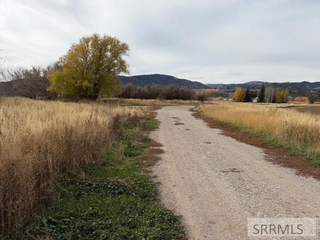 One of a kind 58.75 Acre estate property NOT IN A SUBDIVISION - photo 26