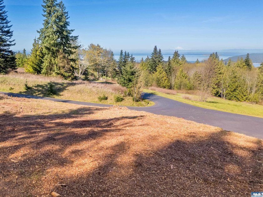 BIG water views and elbow room in one of Sequim's finest - photo 11