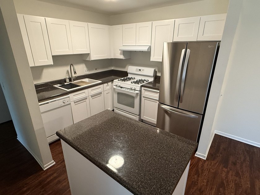 1st Floor Unit Newly Updated! Secure Entrance! The kitchen - photo 4