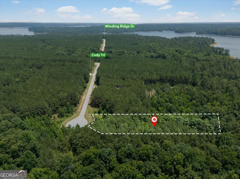 Build your dream lake home on one of the most desirable - photo 2