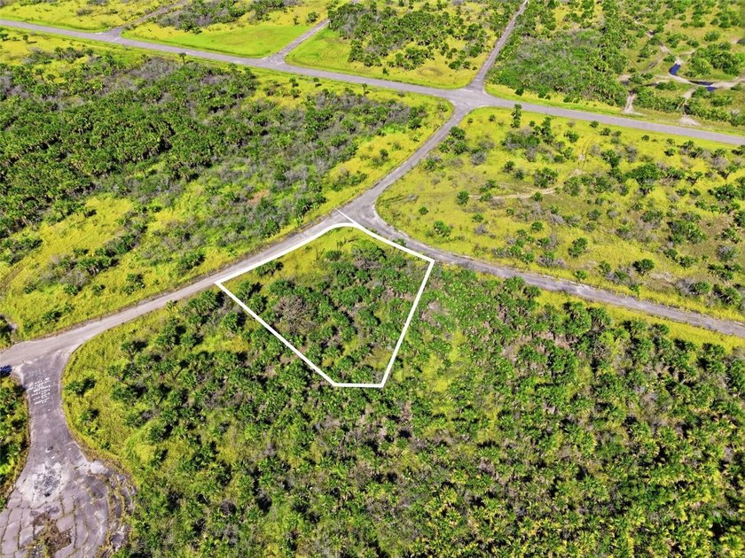 Build your dream home in the growing Port Malabar area of Palm - photo 4
