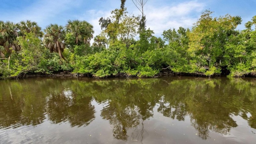GULF ACCESS CANAL LOT!! If you've been looking for more land - photo 3
