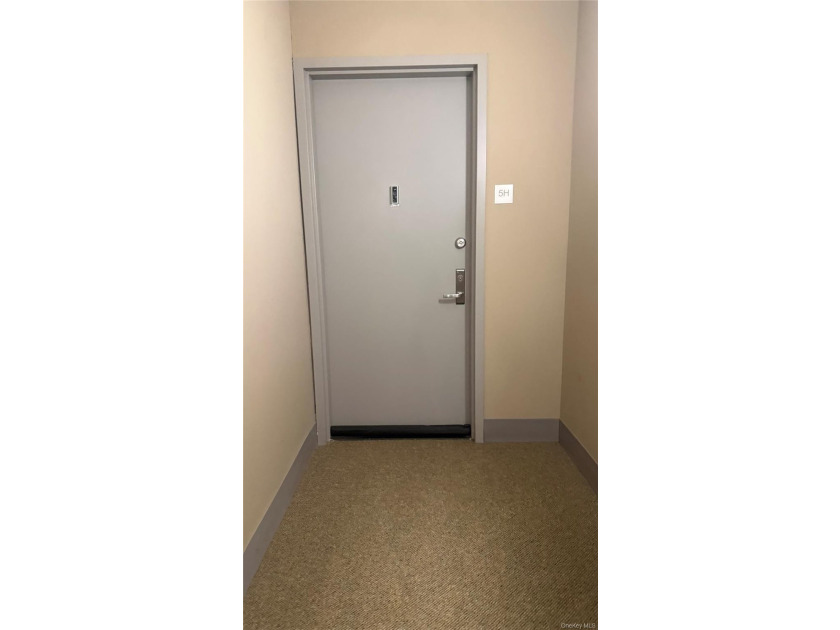 Beautifully maintained large 1 bedroom, 1 bath gourmet kitchen - photo 7