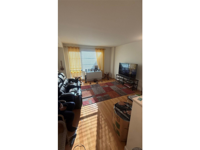 Beautifully maintained large 1 bedroom, 1 bath gourmet kitchen - photo 10