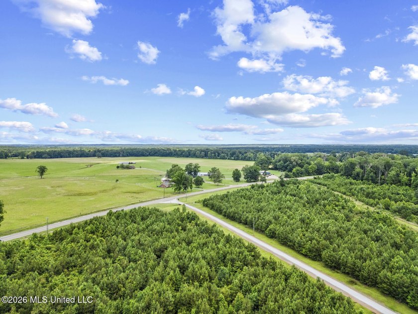 Welcome to a truly one-of-a-kind property in Scott County that - photo 48