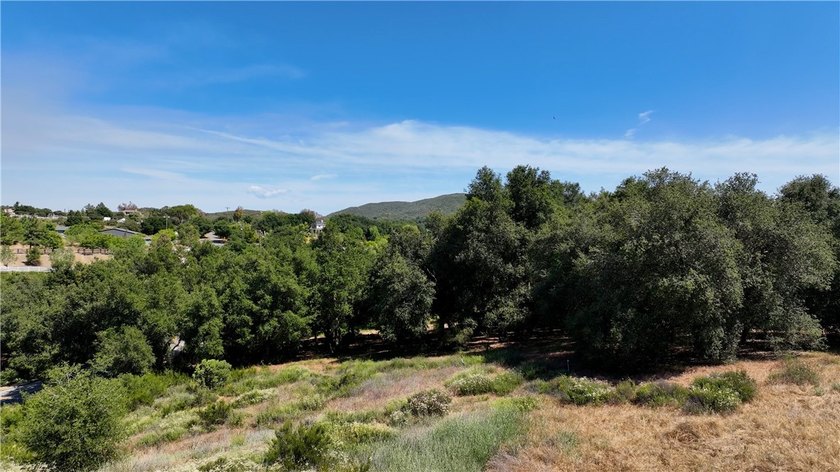 34561 S Main Divide - photo 7
