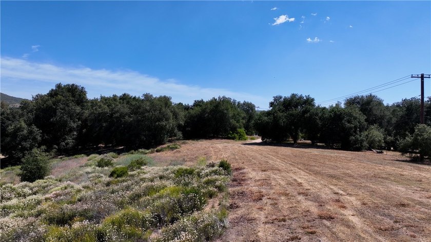 34561 S Main Divide - photo 8