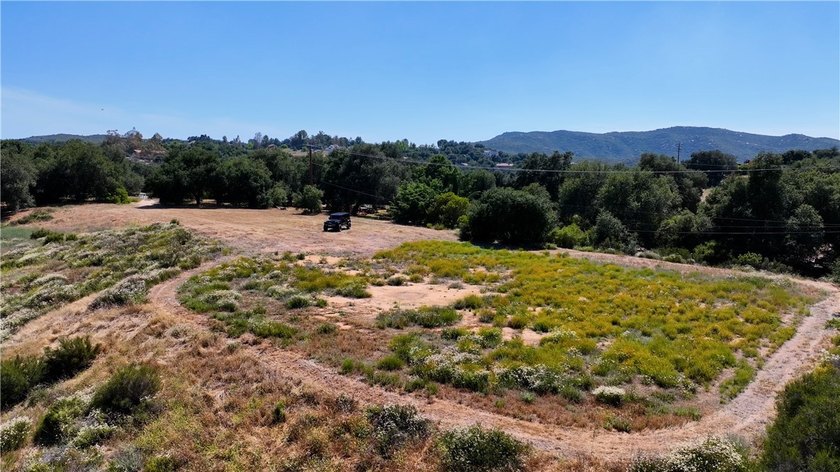 34561 S Main Divide - photo 10