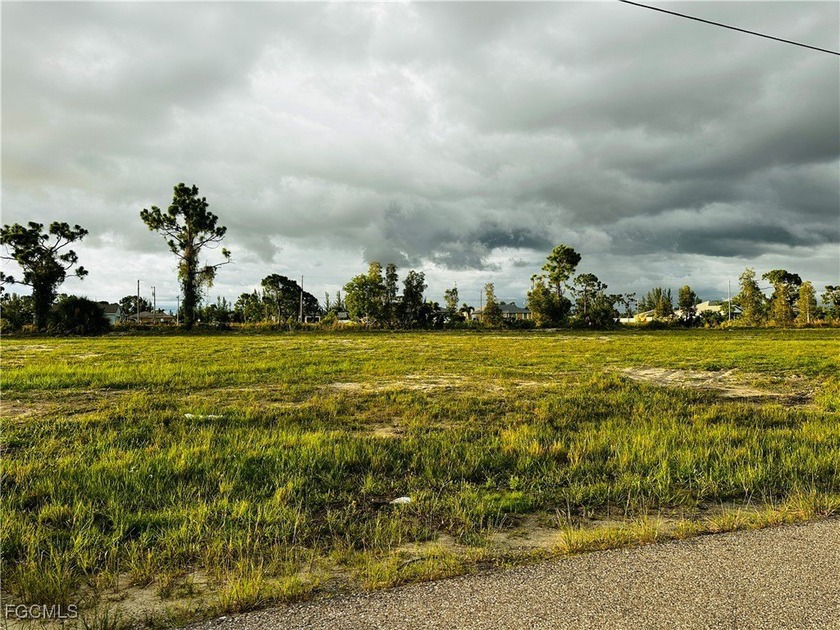 NW Cape Coral off Burnt Store Road. This waterfront property is - photo 5
