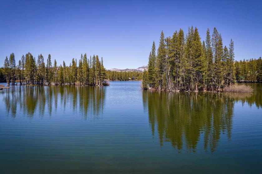 Build Your Serene Lakes Dream-Flat Lot, Walk to Lakes, Minutes - photo 14