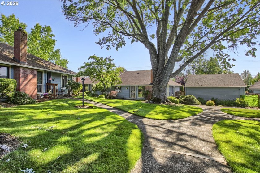 Best value! Opportunity awaits with this rare single-level home - photo 5