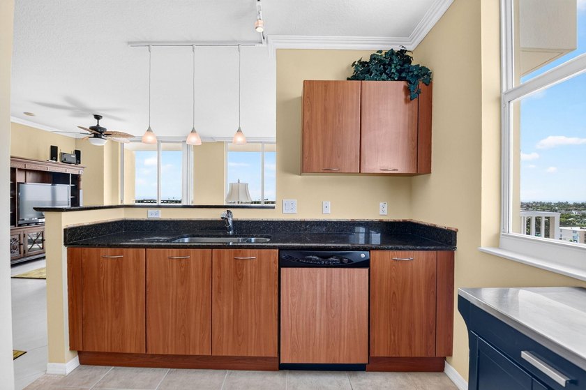 Amazing ocean and intracoastal views from this SE corner 3 - photo 12