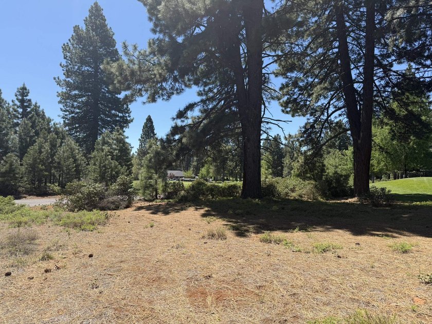 Prime golf-course lot located along the 3rd fairway of the - photo 14