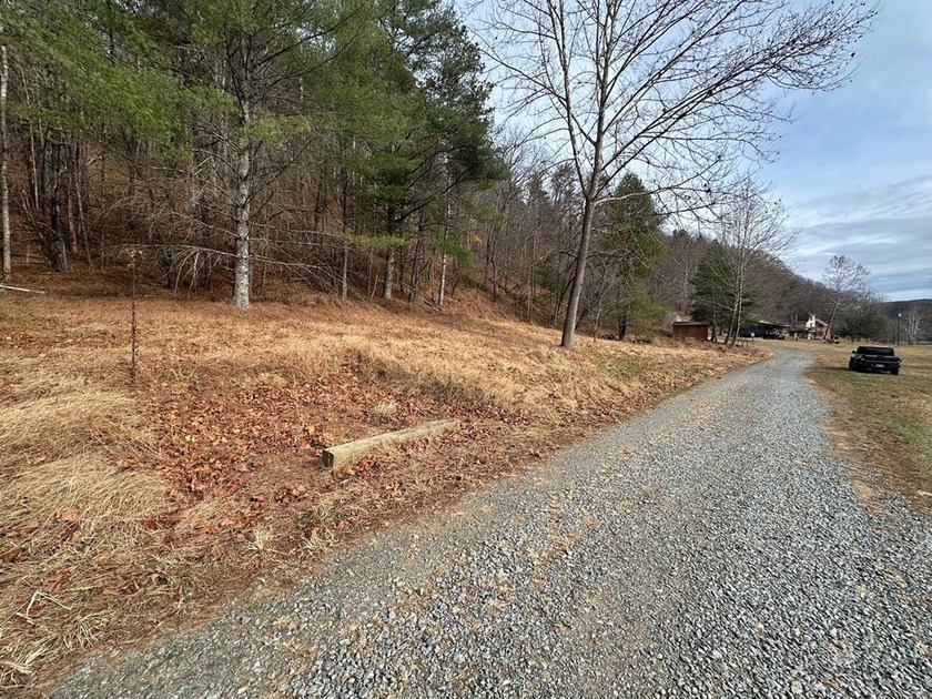 NEW RIVER waterfront land for sale ~ 10.69 acres, buildable - photo 3