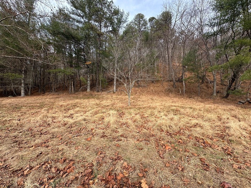 NEW RIVER waterfront land for sale ~ 10.69 acres, buildable - photo 7
