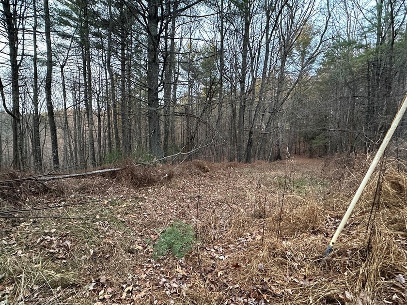 NEW RIVER waterfront land for sale ~ 10.69 acres, buildable - photo 8