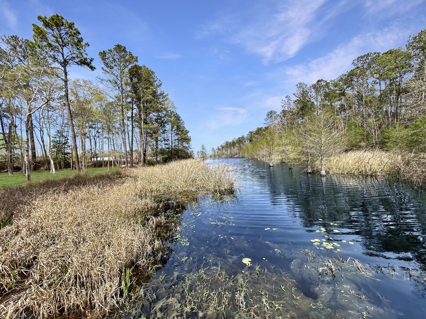 1.1 acre lot in desirable Pinopolis on Fanny Branch on Lake - photo 2