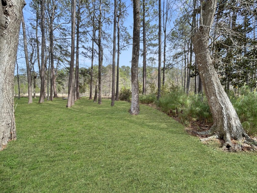1.1 acre lot in desirable Pinopolis on Fanny Branch on Lake - photo 4