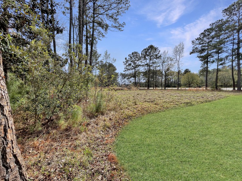 1.1 acre lot in desirable Pinopolis on Fanny Branch on Lake - photo 5