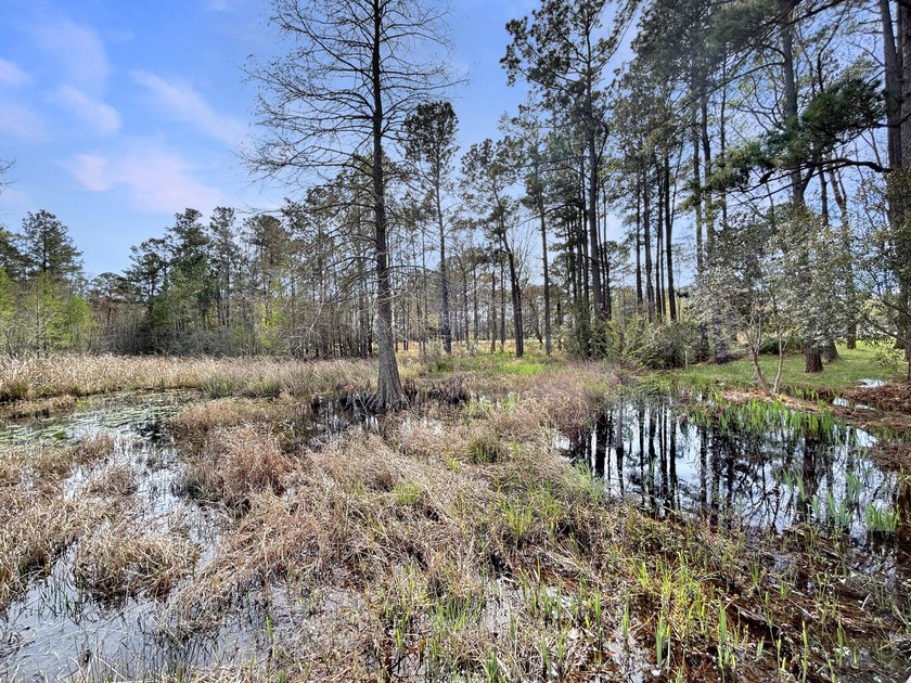 1.1 acre lot in desirable Pinopolis on Fanny Branch on Lake - photo 6