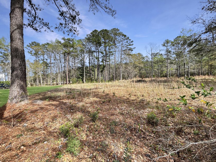 1.1 acre lot in desirable Pinopolis on Fanny Branch on Lake - photo 9