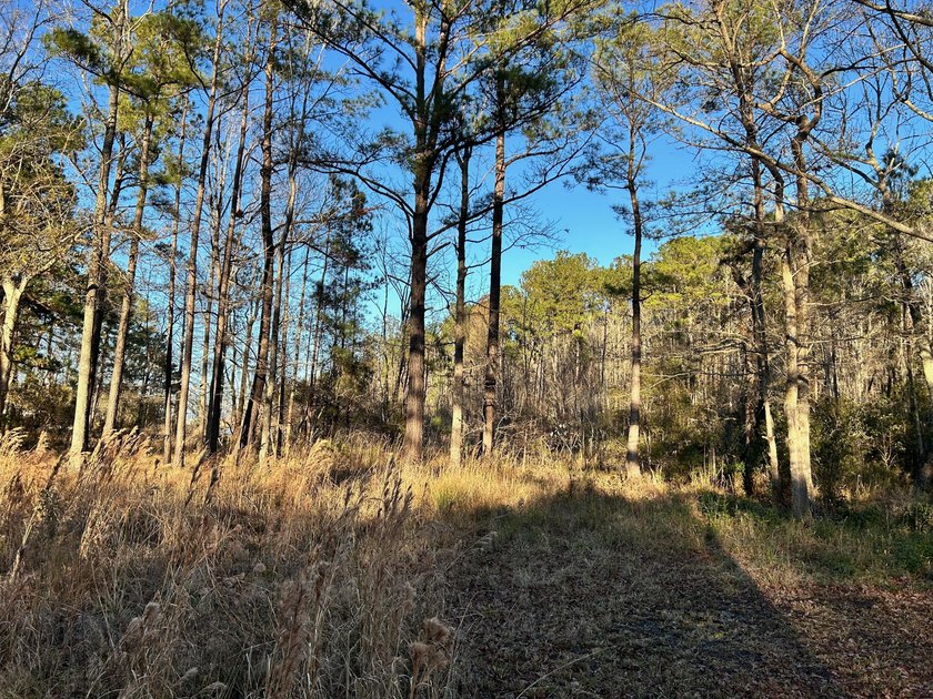 1.1 acre lot in desirable Pinopolis on Fanny Branch on Lake - photo 10