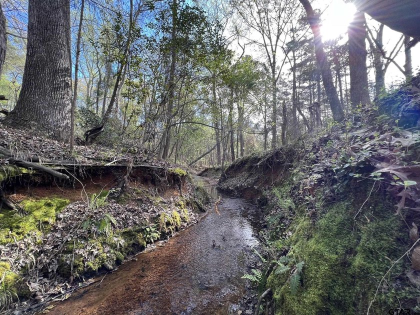 East Texas rural land for sale in Smith County. 74.586 acres of - photo 4