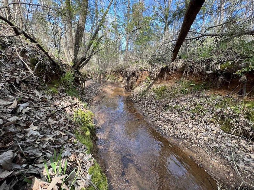 East Texas rural land for sale in Smith County. 74.586 acres of - photo 5