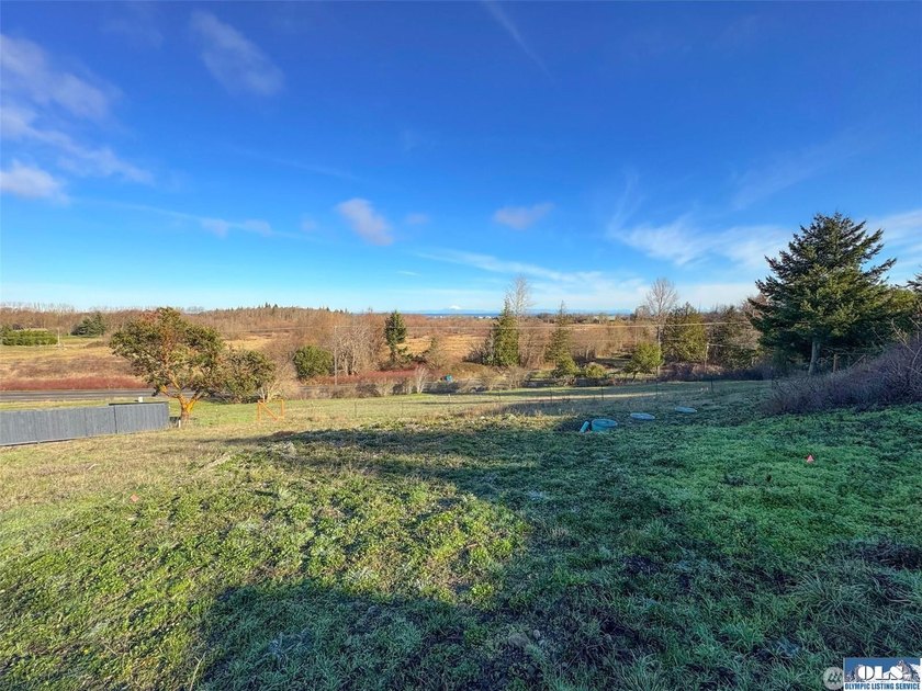 Seize the ultimate shortcut to luxury living. This isn't just a - photo 34
