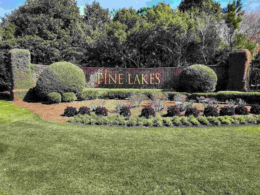 Price Improvement! Welcome to your dream home, this is the ONE - photo 5