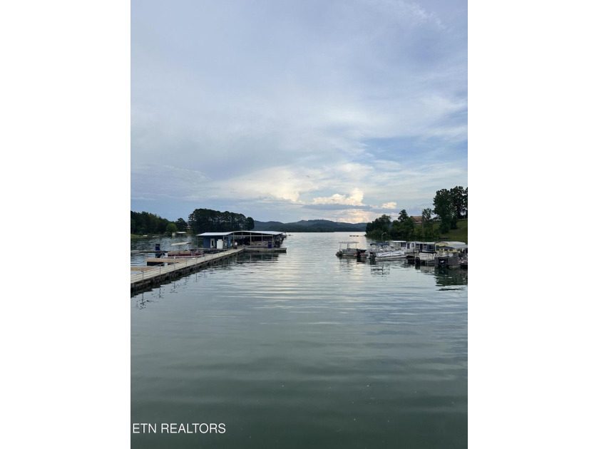 A fully furnished lake retreat with private guest suite- ready - photo 34