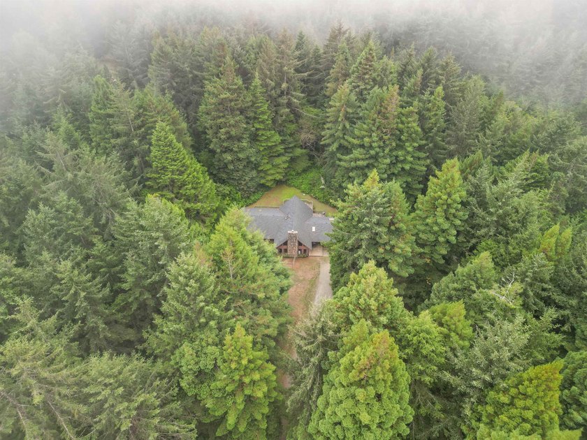 Redwood retreat! This 2,930 square foot home is situated on a - photo 38