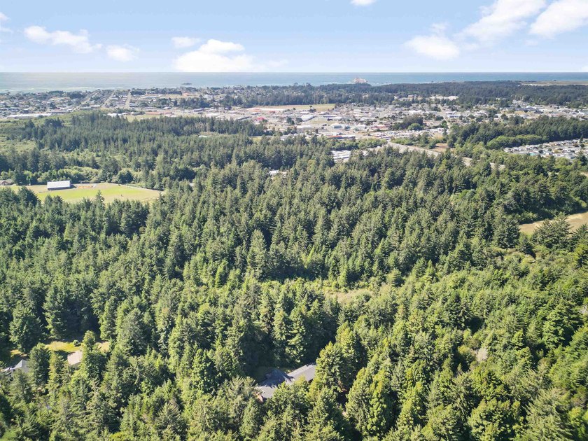 Redwood retreat! This 2,930 square foot home is situated on a - photo 42
