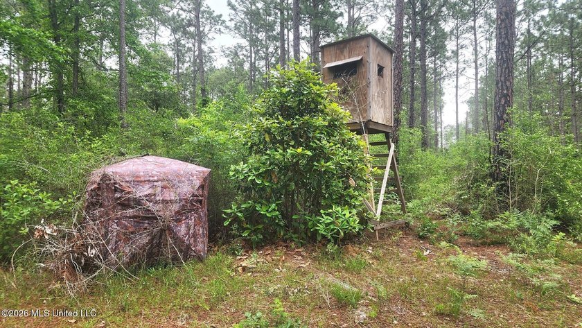 A RARE FIND, DON'T MISS YOUR OPPORTUNITY TO OWN 9.26 acres in a - photo 13