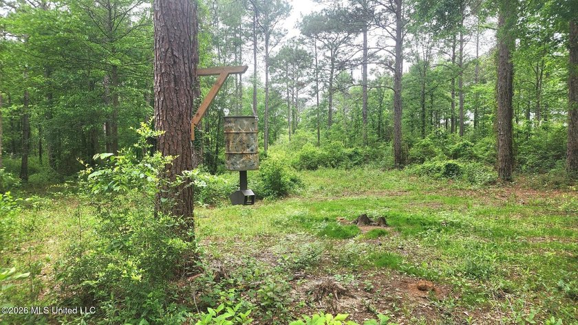 A RARE FIND, DON'T MISS YOUR OPPORTUNITY TO OWN 9.26 acres in a - photo 14