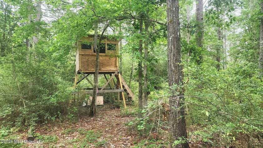 A RARE FIND, DON'T MISS YOUR OPPORTUNITY TO OWN 9.26 acres in a - photo 16