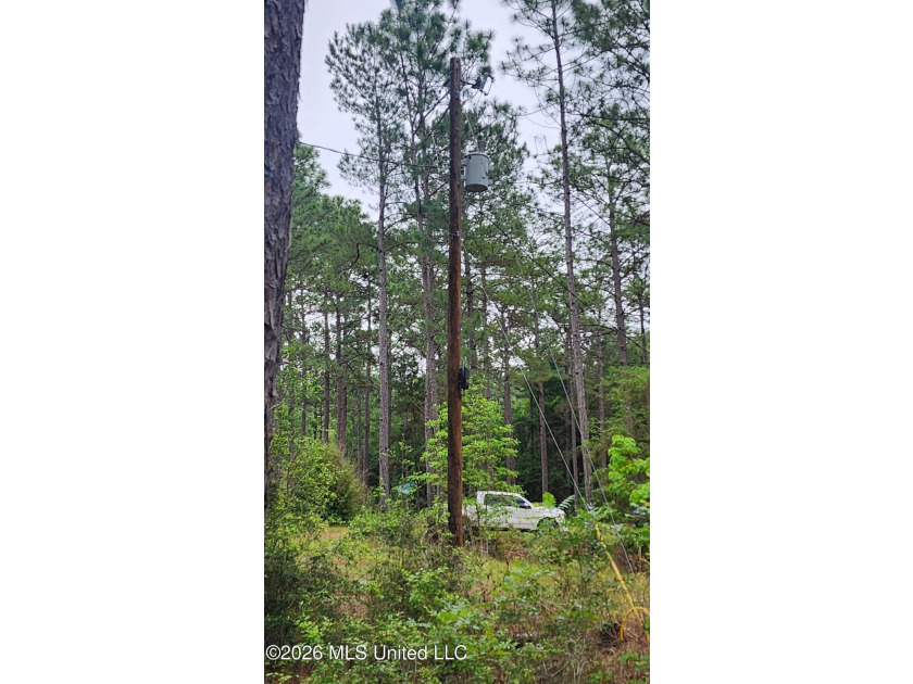 A RARE FIND, DON'T MISS YOUR OPPORTUNITY TO OWN 9.26 acres in a - photo 17