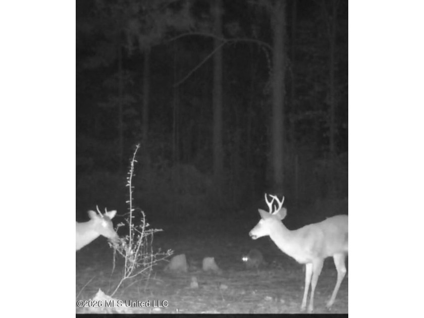 A RARE FIND, DON'T MISS YOUR OPPORTUNITY TO OWN 9.26 acres in a - photo 20