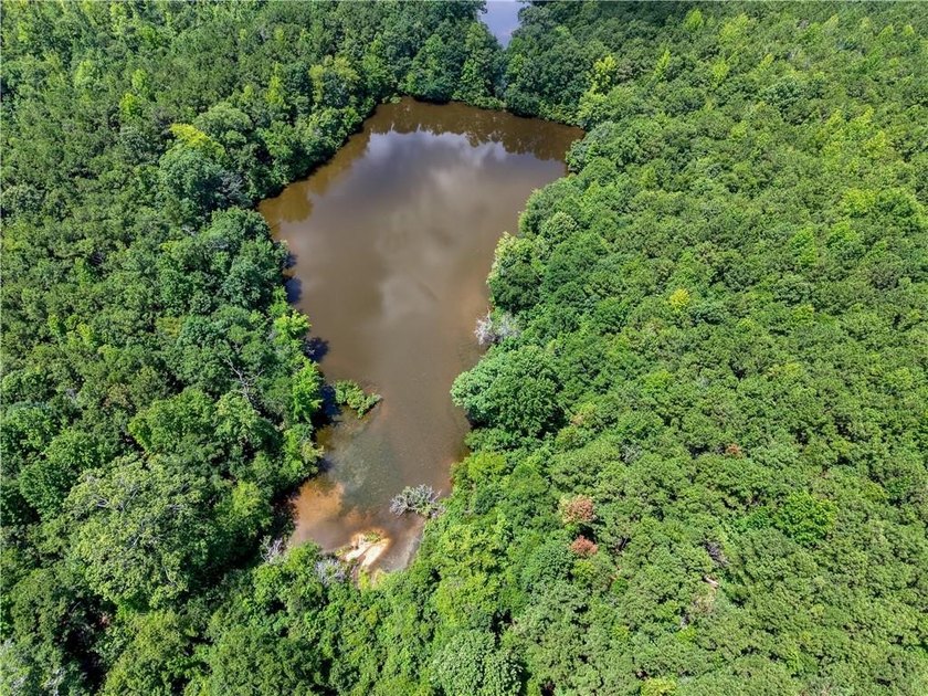 Opportunities to acquire a contiguous 50-acre tract of - photo 5