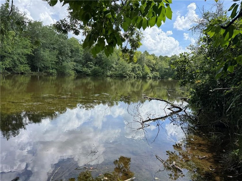 Opportunities to acquire a contiguous 50-acre tract of - photo 7